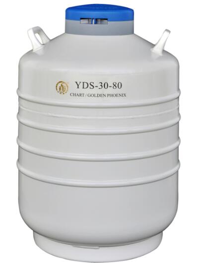 成都液氮罐厂家 型号:YDS-30-80