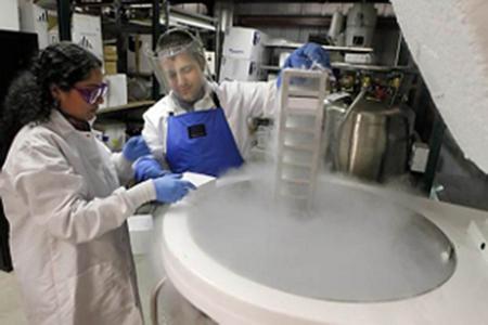 液氮罐有安全隐患吗?液氮罐使用安全常识有哪些?